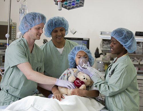 Nursing (MSN) and Certificate Programs